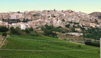 veduta di salemi